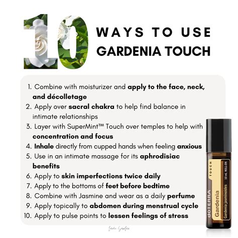 Golden magic gardennia